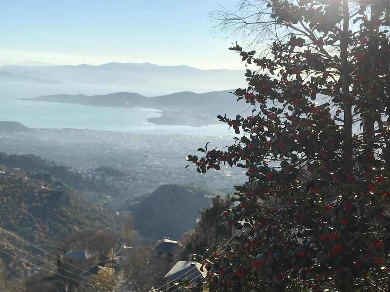 1822 Makrinitsa Suites ภายนอก รูปภาพ